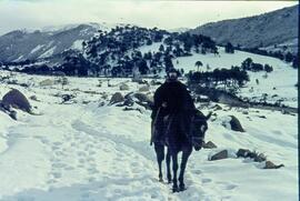 Recorriendo a caballo el area de Ruca Choroy