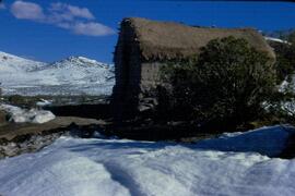 Asistencia social debido a intensas nevadas
