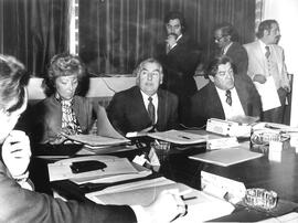 Reunión de la comisión de emergencia