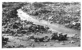 Cooperativa del Basural de Garín