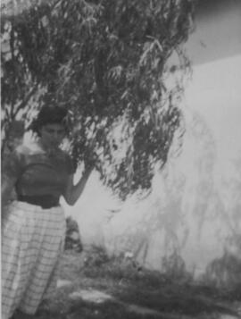 Dora al oeste del paraiso