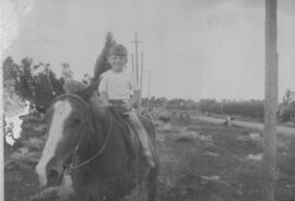 Pedro y la pampa