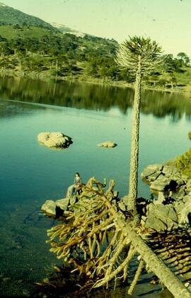 Lago Ruca Choroy