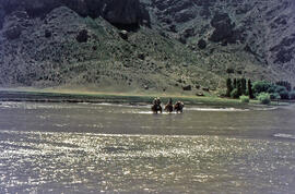 Cruzando el río en mula